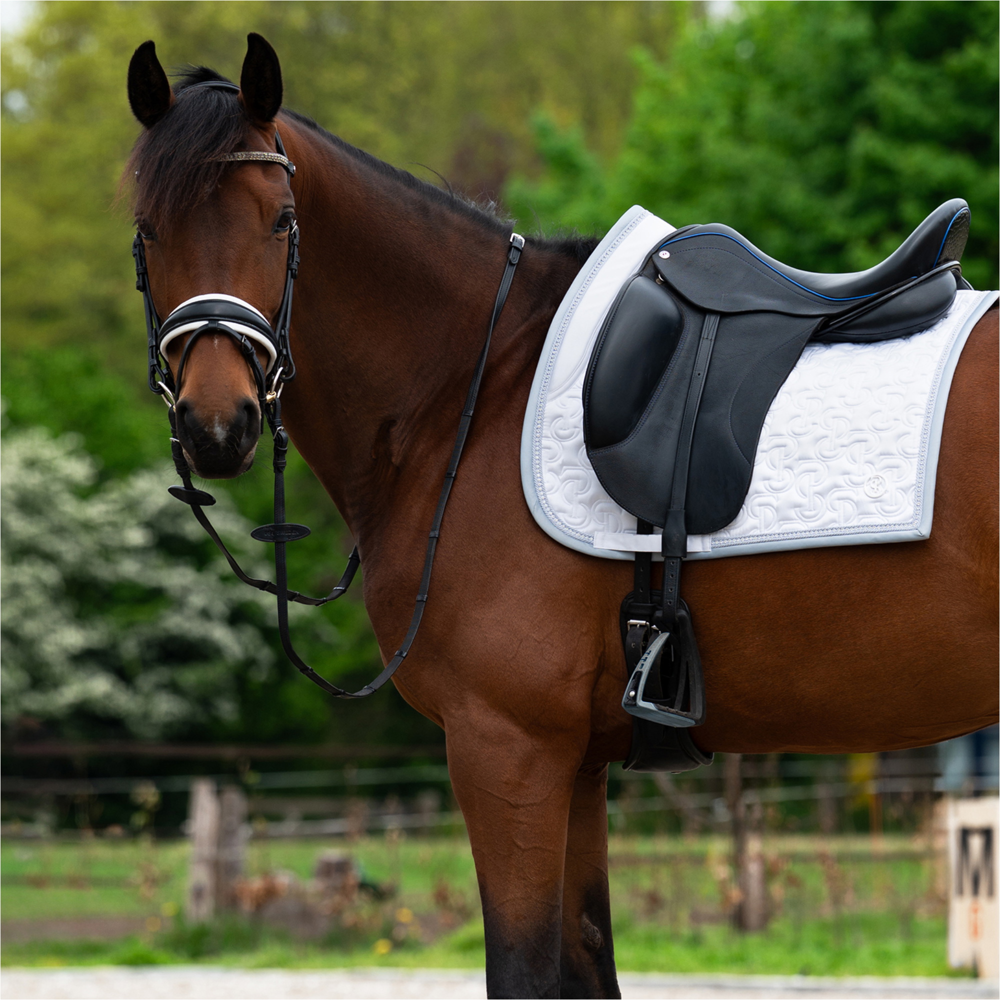 2025 PS of Sweden Crystal Satin Dressage Saddle Pad 1110-117-001 - White